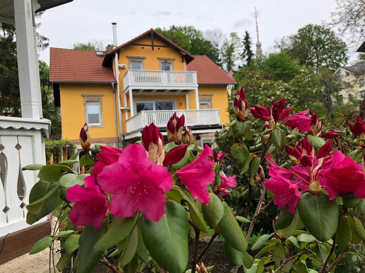 Ferienwohnung Casa Casimir Mit Elbblick, Balkon Und Grossen Garten Дрезден Екстер'єр фото